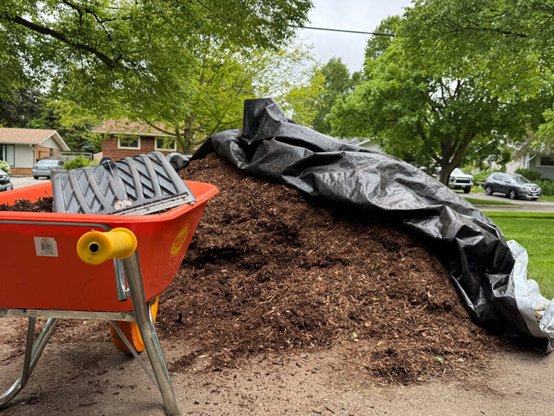 Mulching gardens in Guelph Ontario